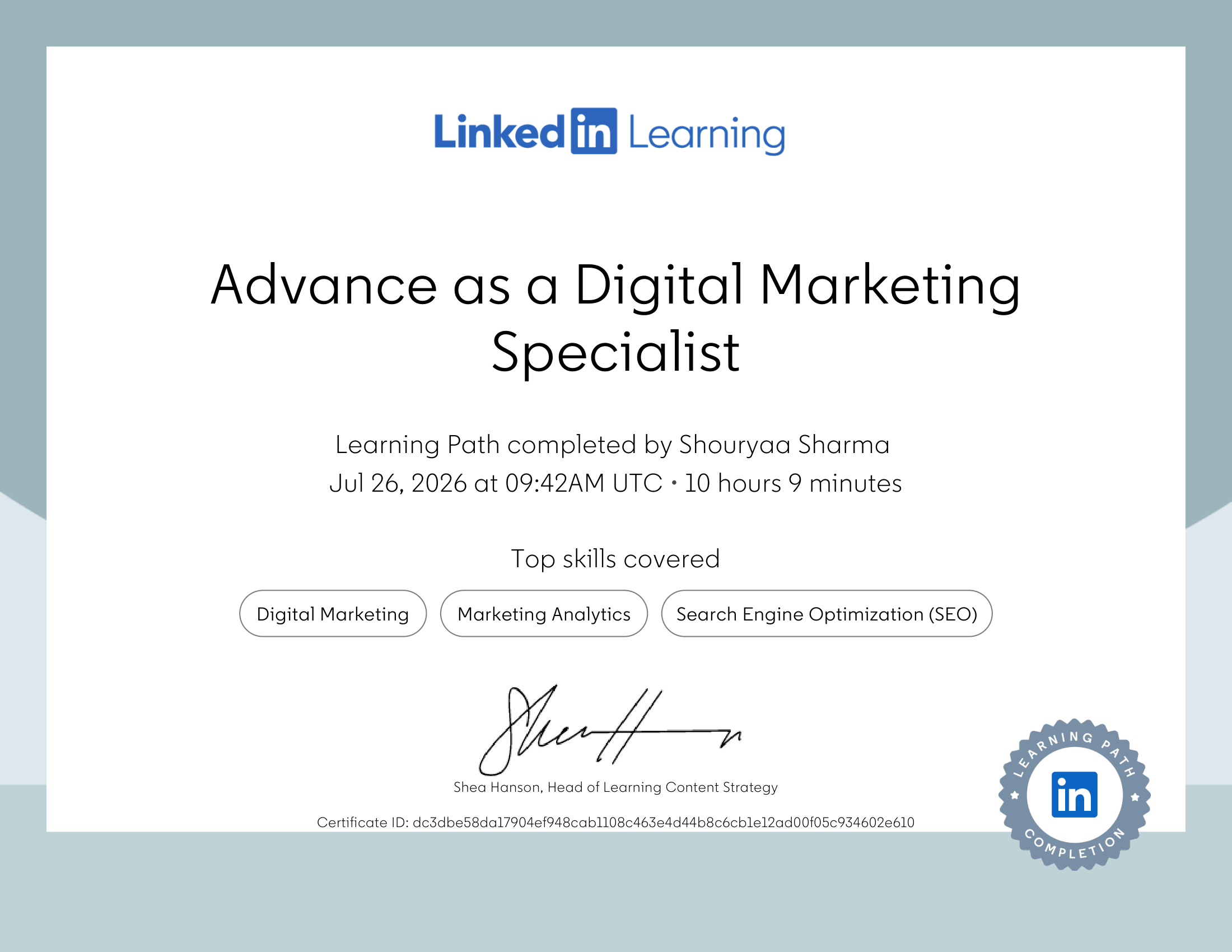 Digital Marketing Specialist Advanced